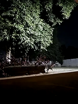 bakedsnackmmh online show from February 2026 09:33:01 PM