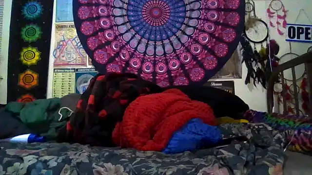 GardeniaFields online show from March 2026 09:57:02 AM