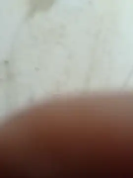 MATANAN31 online show from September 2025 01:00:01 PM