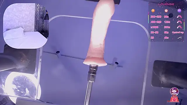 BBWHijab online show from January 2026 05:31:01 AM