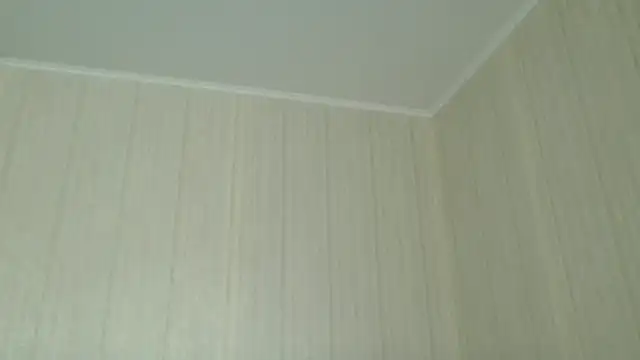  Black-Panther  online show from April 2026 07:55:02 AM