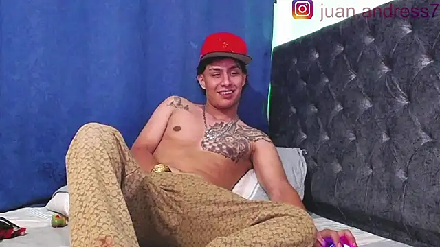 Stone grey1  online show from February 2026 06:37:01 AM