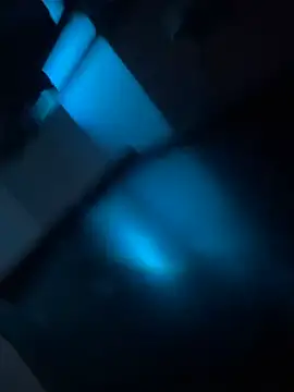 msvelvet20 online show from March 2026 09:35:01 AM