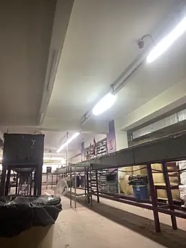 giyasbvnghkgkfk online show from April 2026 07:25:02 AM