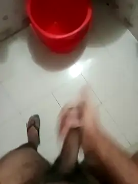 zim200 online show from November 2025 11:59:01 PM