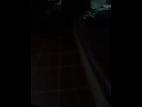 felopayl online show from June 2026 07:14:02 AM
