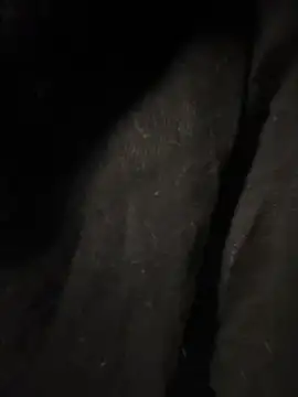 pikuslordpll online show from December 2025 08:12:02 AM