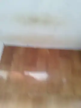 Snapshot of O_Mascarado_NK chatting on March 2026 12:43:02 PM O Mascarado NK online show from March 2026 12:43:02 PM