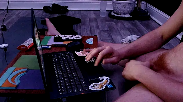 jinjasnack online show from February 2026 11:17:01 AM