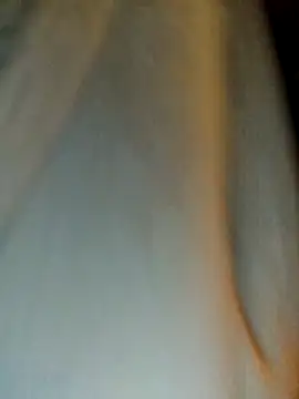 himNIGuys online show from February 2026 07:08:01 PM