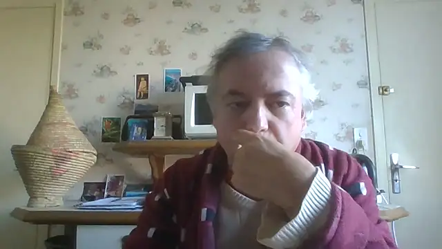 Snapshot of gegevincent chatting on November 2025 11:47:01 AM gegevincent online show from November 2025 11:47:01 AM