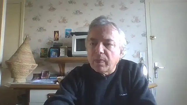 Snapshot of gegevincent chatting on November 2025 12:20:01 PM gegevincent online show from November 2025 12:20:01 PM