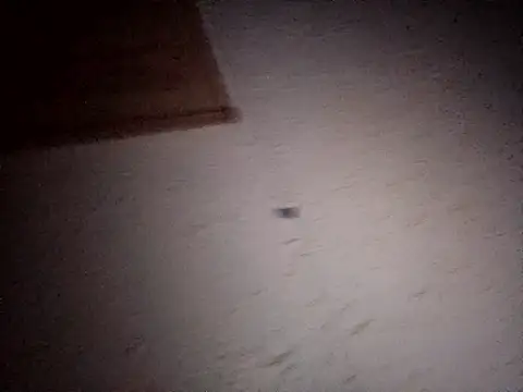 Hottiesophie online show from April 2026 08:02:01 PM