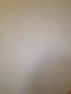 BBC RILEYG online show from June 2026 09:07:02 AM