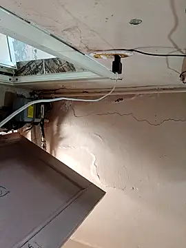 Absdefhig online show from April 2026 02:08:02 PM