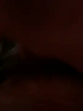 dice4422 online show from April 2026 05:32:02 PM