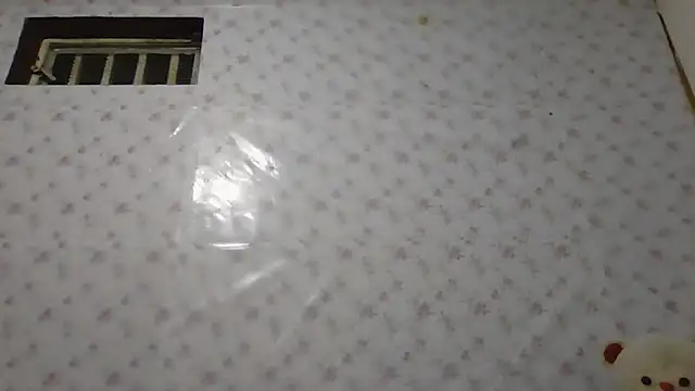 Roselingalvis13 online show from January 2026 02:28:02 AM