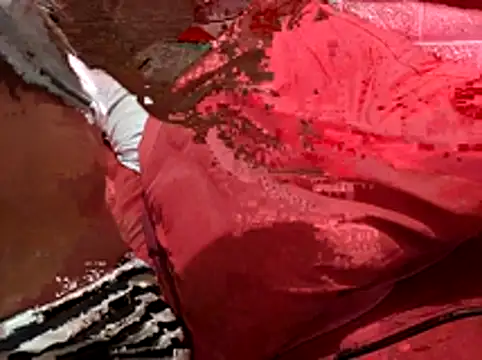 Kellye hotTs online show from February 2026 02:17:02 AM