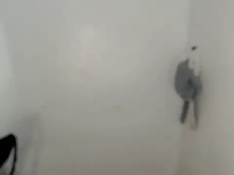 ynotyu online show from March 2026 05:18:01 AM