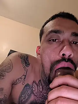 Cnutt310 online show from April 2026 09:42:02 AM