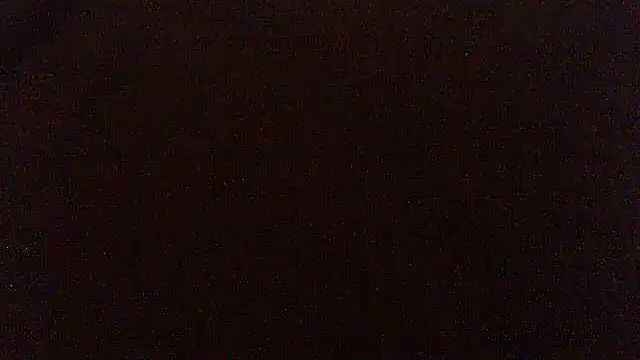 pietje1991 online show from April 2026 08:01:02 PM