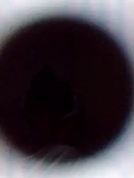 Snapshot of Cumnowd1 chatting on October 2025 01:28:01 AM Cumnowd1 online show from October 2025 01:28:01 AM