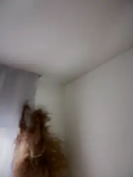 Sofi Leal online show from March 2026 12:12:02 PM