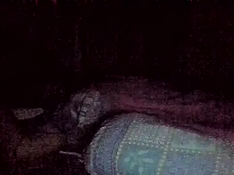 harish x online show from February 2026 06:26:01 PM