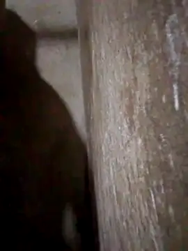 Lujor online show from March 2026 11:38:01 PM