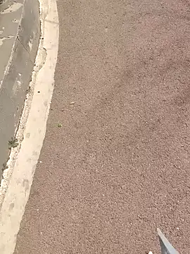 wsyx326 online show from March 2026 03:23:01 AM