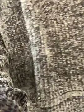 sunset24 online show from October 2025 08:58:01 AM