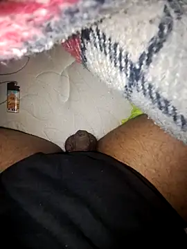 Snapshot of REALLY8430 chatting on February 2026 11:31:02 PM REALLY8430 online show from February 2026 11:31:02 PM