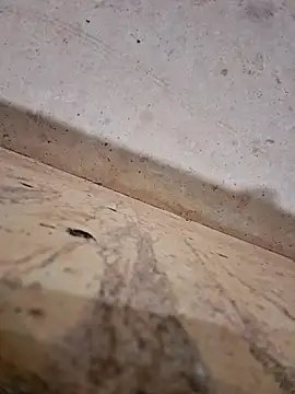 Negodabenga online show from December 2025 12:27:01 AM