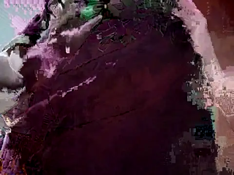 Snapshot of sloppytopkins chatting on February 2026 11:20:02 PM sloppytopkins online show from February 2026 11:20:02 PM