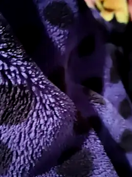 Snapshot of sana-5 chatting on February 2026 03:42:02 PM sana-5 online show from February 2026 03:42:02 PM