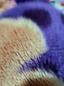 Snapshot of sana-5 chatting on March 2026 03:18:01 PM sana-5 online show from March 2026 03:18:01 PM