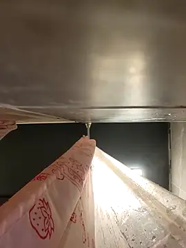 chocolate bella online show from April 2026 01:08:01 AM