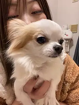 Snapshot of h415a812 chatting on November 2025 01:55:01 PM h415a812 online show from November 2025 01:55:01 PM