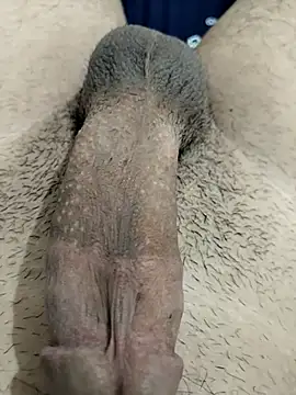 Zepe 12 online show from November 2025 11:31:01 PM