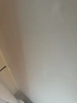 Bigdick 20cmlang6cmbreit online show from February 2026 10:51:02 AM