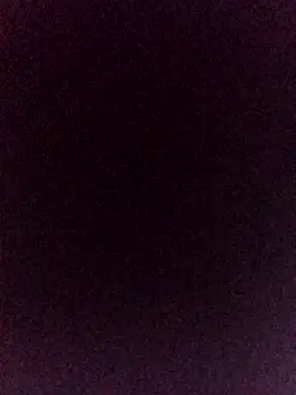 pajarics online show from January 2026 02:11:01 PM