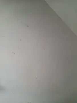 iamlalamilano online show from March 2026 03:01:01 PM