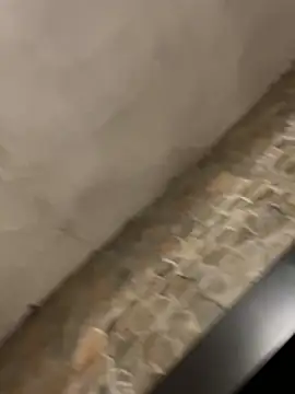 BrandonBlack online show from February 2026 12:25:02 AM