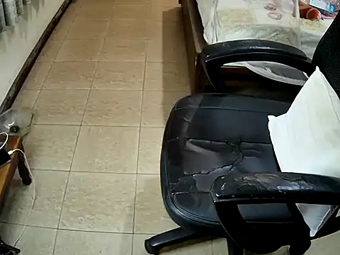 Snapshot of sissypamsissy chatting on February 2026 12:19:01 PM sissypamsissy online show from February 2026 12:19:01 PM