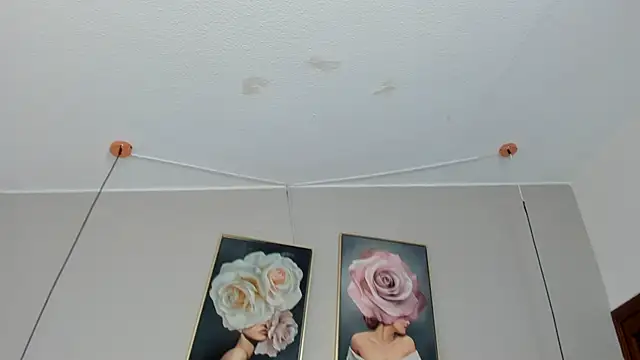 Snapshot of Dani_rosse_ chatting on May 2026 12:54:02 PM Dani rosse online show from May 2026 12:54:02 PM
