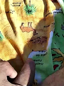 Snapshot of pegaso369 chatting on June 2026 02:51:01 PM pegaso369 online show from June 2026 02:51:01 PM