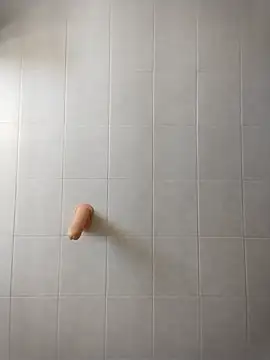 Snapshot of pegaso369 chatting on June 2026 10:09:01 AM pegaso369 online show from June 2026 10:09:01 AM