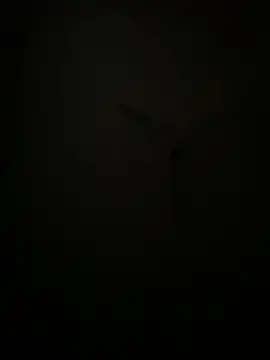 succy33 online show from October 2025 04:59:01 PM