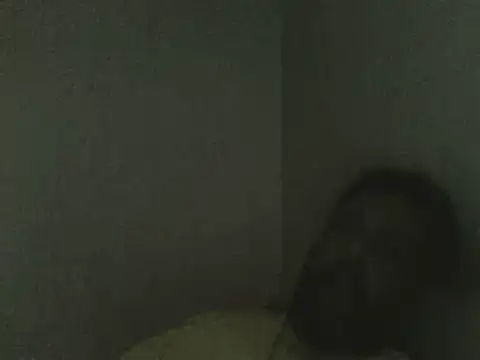 elpoop7305 online show from July 2026 04:27:02 AM