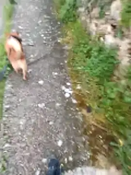 Axelitoc online show from April 2026 05:08:02 AM